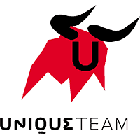 team cs go Unique